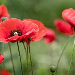 CCTV25体育赛事频道高清直播全程同步观看 ha1201ddn7