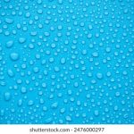 CCTV1在线高清直播观看入口 o0n2238w