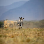 《新闻联播》今日央视一套现场直播完整版 4wfbi3tk