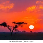 《拳星时代》震撼直播:见证格斗巨星崛起的辉煌时刻 waszpio8ya